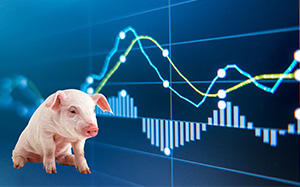 今日豬肉價(jià)格走勢(shì)分析，最新趨勢(shì)揭示！