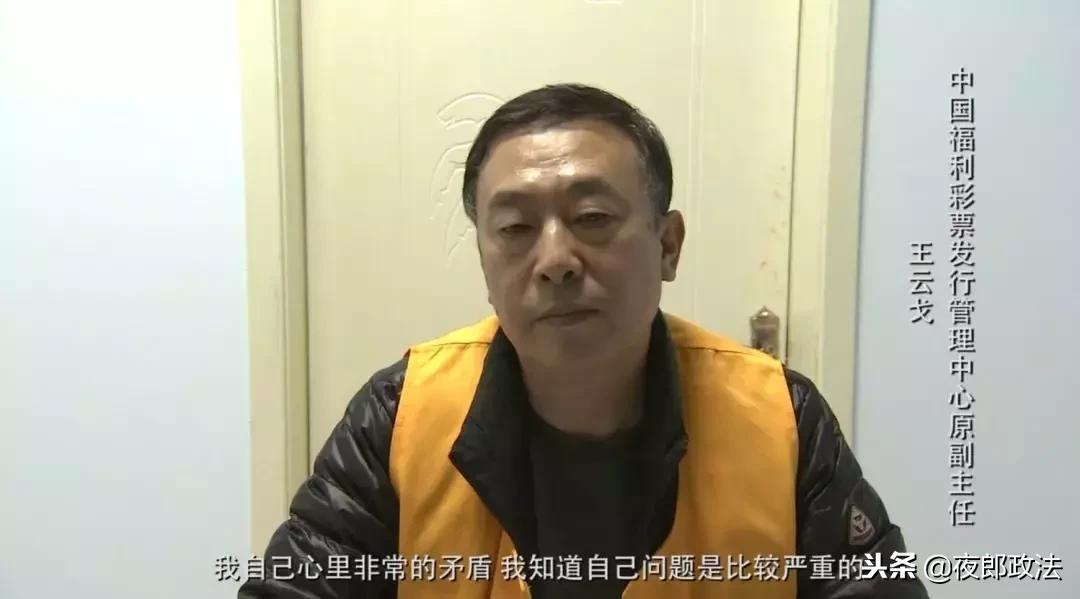 王云戈最新動(dòng)態(tài)揭秘，多重身份與最新消息