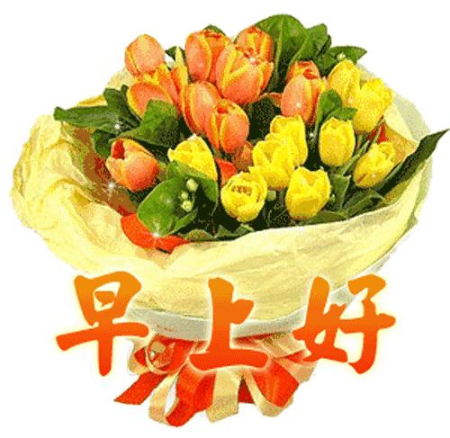 最新早上好祝福語，溫馨寄語開啟美好一天之門