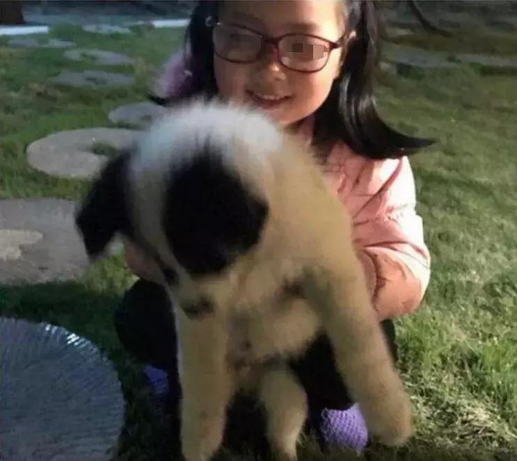 桂林象山區(qū)展現(xiàn)活力與進(jìn)步，最新事件聚焦