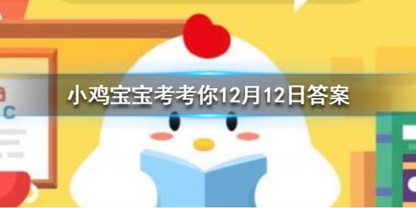 小雞考考你最新答案解析與探討分享