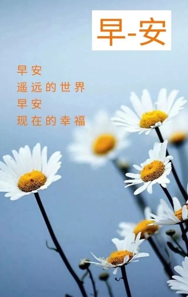 早安朋友圈最新句子，美好一天的啟航