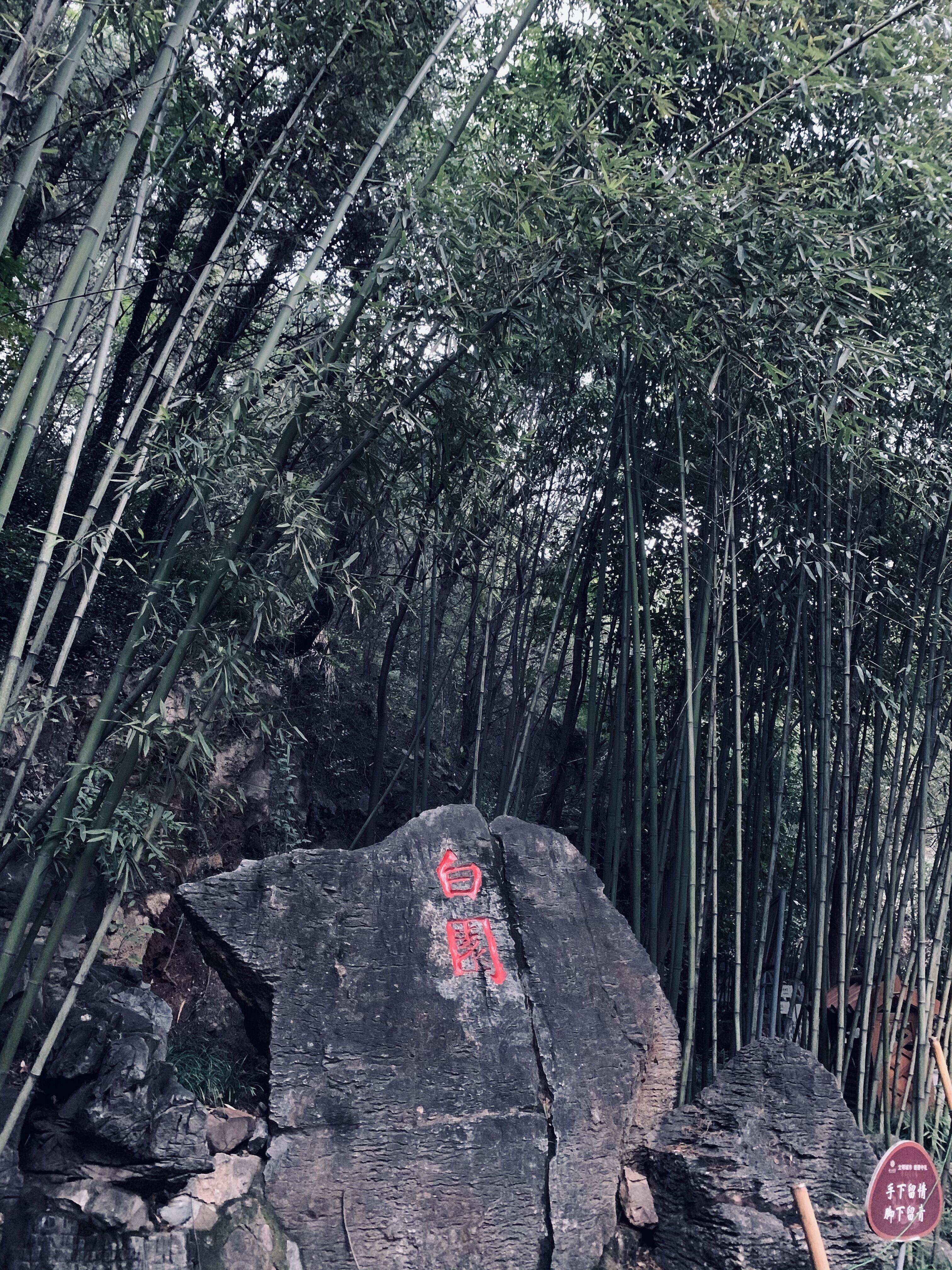 老君山夜間探秘，最新亮燈時間揭秘，夜色中的神秘魅力