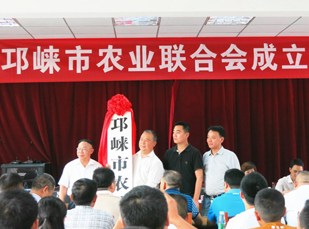 成都邛崍最新發(fā)展動態(tài)，城市脈搏與民生改善同步前行