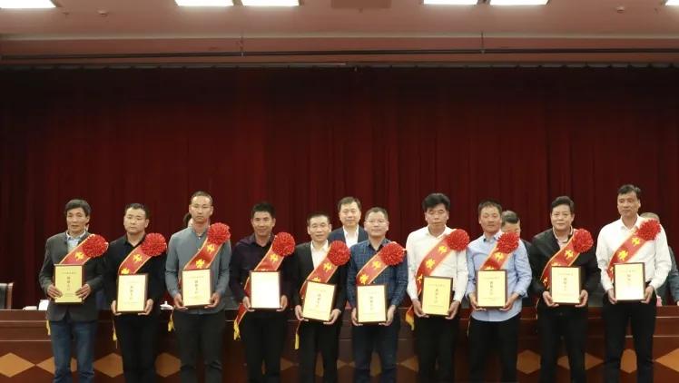 農(nóng)村新面貌與發(fā)展活力揭秘，兩條最新視頻揭示鄉(xiāng)村變遷的魅力