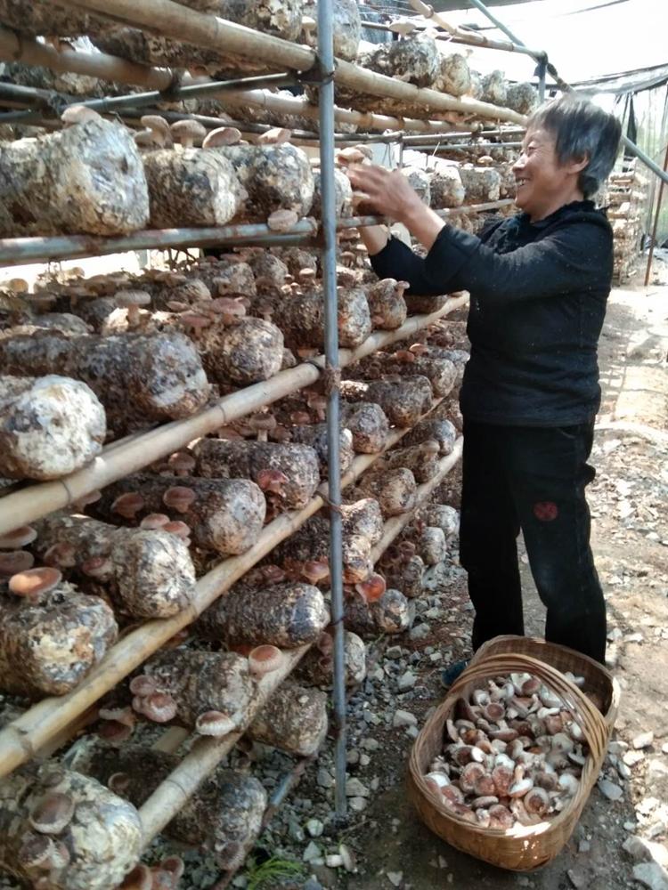 湖北疫情最新情況六月報(bào)告概述