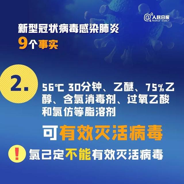 新冠病毒最新來源發(fā)布及其全球影響分析