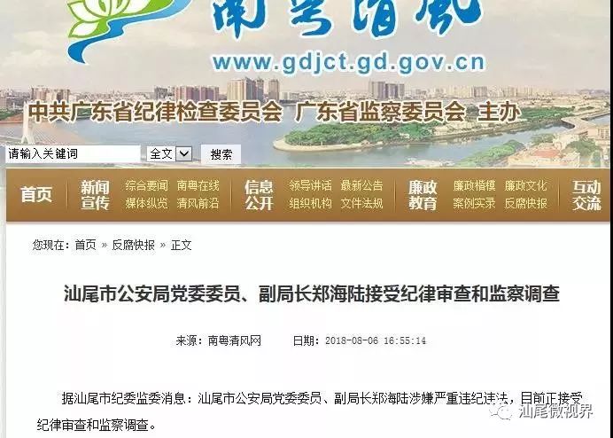 鄭海田最新動態(tài)，揭示未來無限潛能