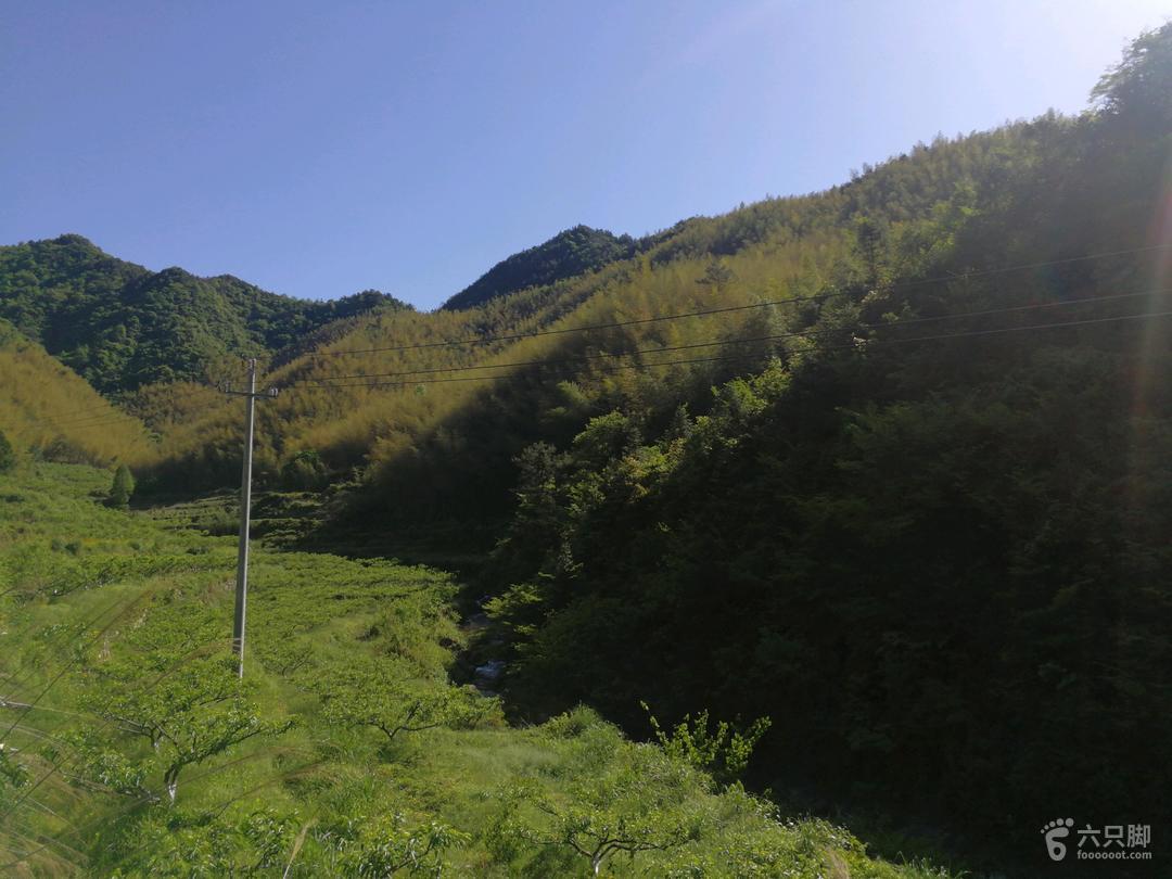 天臺華頂森林公園最新動態(tài)及探索之旅